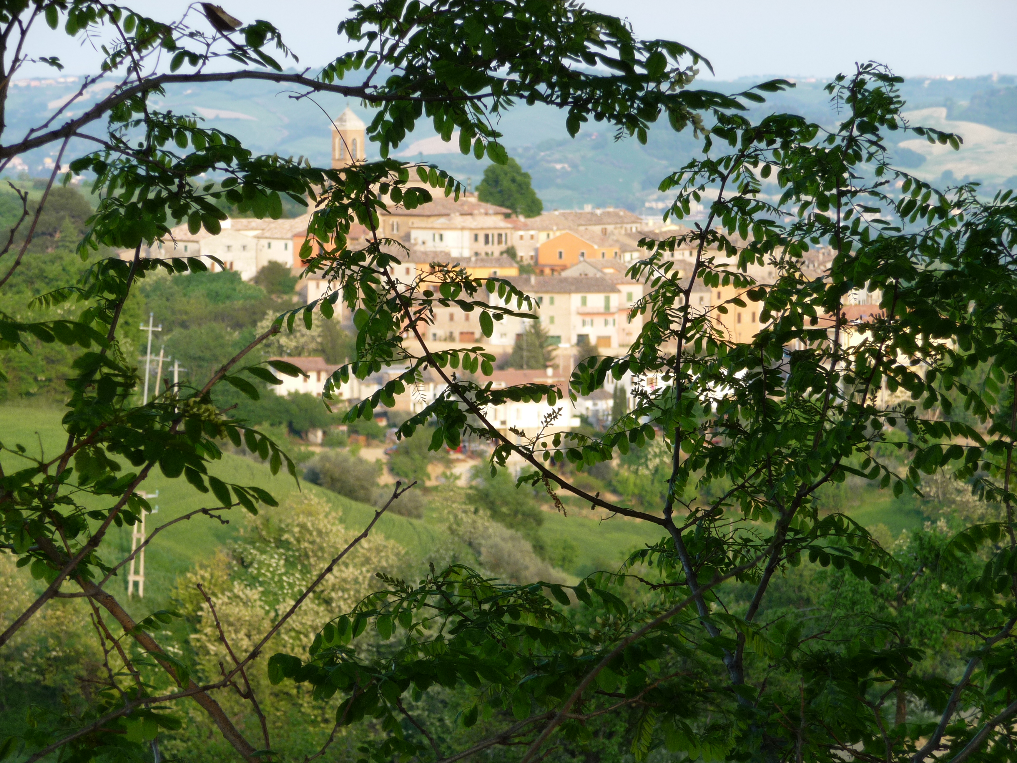 Uitzicht Op Ser Met Boom